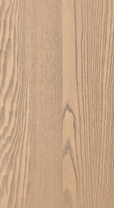 Sand Dune