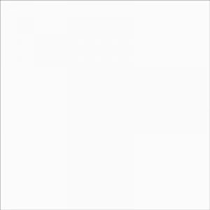 Brilliant White